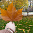 C5dfoitey4A-channel-avatar-Home Me  