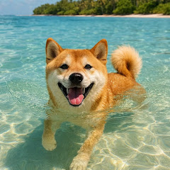 Весёлый Пёсель. Видео и компьютерные игры.