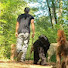 gaJ7PkvNu5M-channel-avatar-DAILYDOGWALK