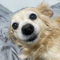 ちめみ