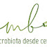 8G2AKS3qBZs-channel-avatar-Miodrag Borges