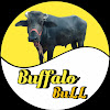 What could Buffalo BuLL buy with $1.08 million?