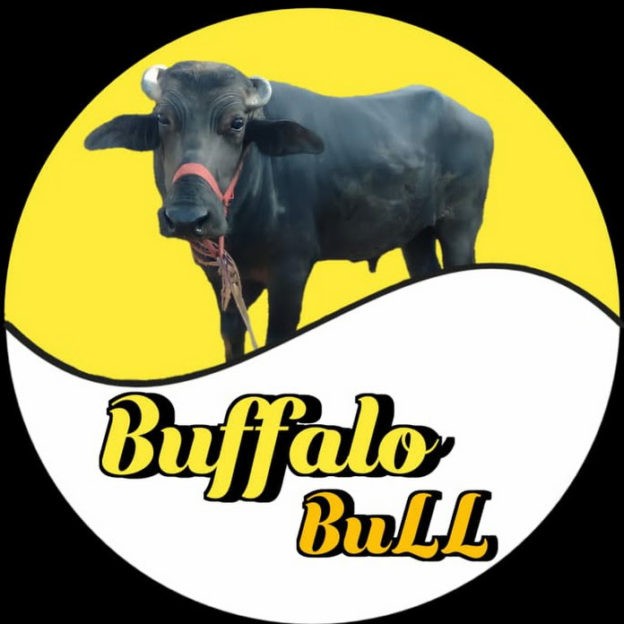 Buffalo BuLL Net Worth & Earnings (2024)