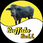 Buffalo BuLL