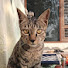 f6umo8OF3xA-channel-avatar-SlowLife Happylife888