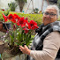IFmVKlG2xJ0-channel-avatar-Jardín De Victoria