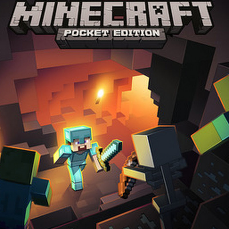 Minecraft: Dream it, Build it! - Topic