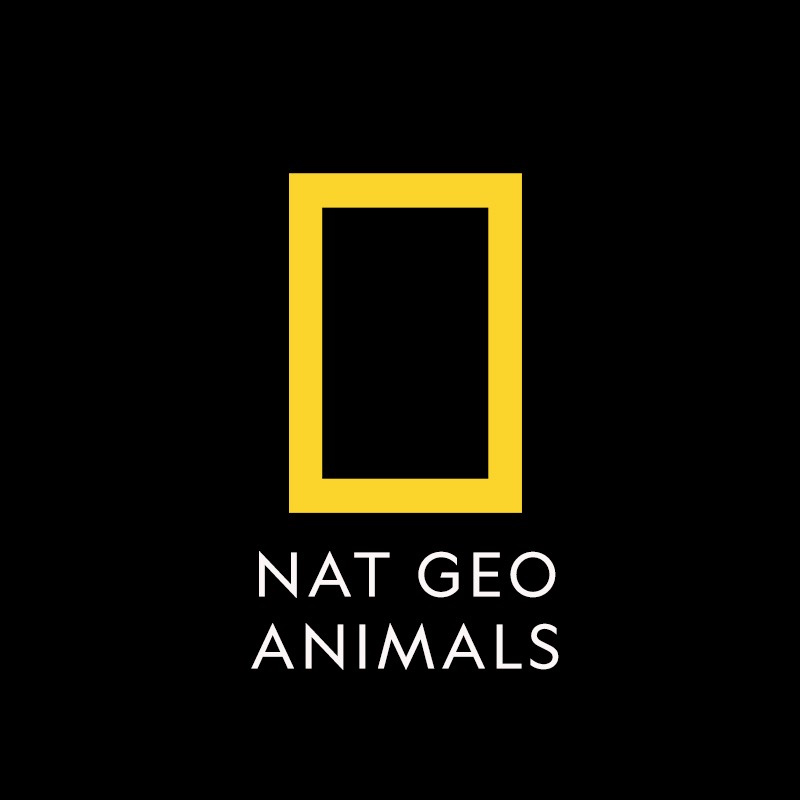 Nat Geo Animals