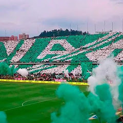 Tribuna Verde