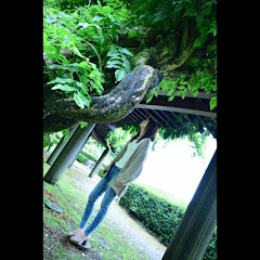 mtアイコン画像