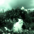 0qiDcfCHGFs-channel-avatar-katzenkopf.
