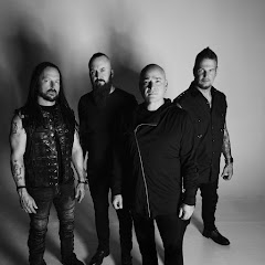 Disturbed net worth