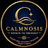 0x-381rgHG8-channel-avatar-Calmnosis