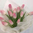 @dohaahmed1620