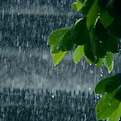 RainMood