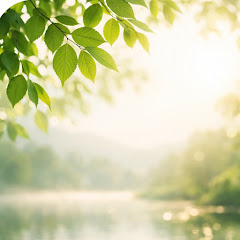 나를 과학하는 명상