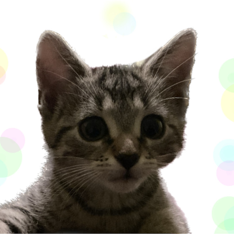 Kitkacy Jones
