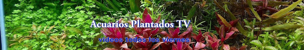Acuarios Plantados TV यूट्यूब चैनल अवतार
