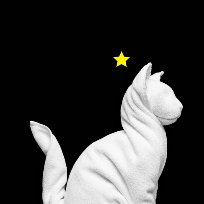 Mr. Gariya Towel Art Creations