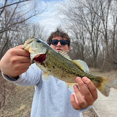 Something fishy
