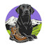 Pruu_X3J_tM-channel-avatar-Max Trails