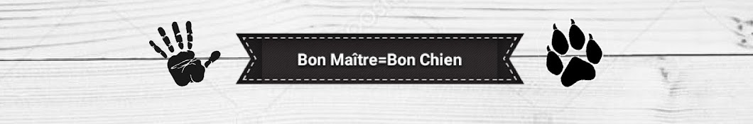 Bon MaÃ®tre Bon Chien YouTube 频道头像