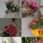 @RoayaMohamed-w3h