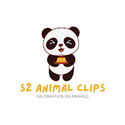 S2 Animal Clips