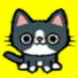 Cat reaction Image Thumbnail