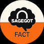 Saggyix logo