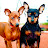 @pink.dragon-33's avatar