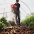5D1bVsu4vuk-channel-avatar-Kansas Garden Guy
