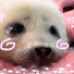 kJFRjtRDIQo-channel-avatar-OMFG send help