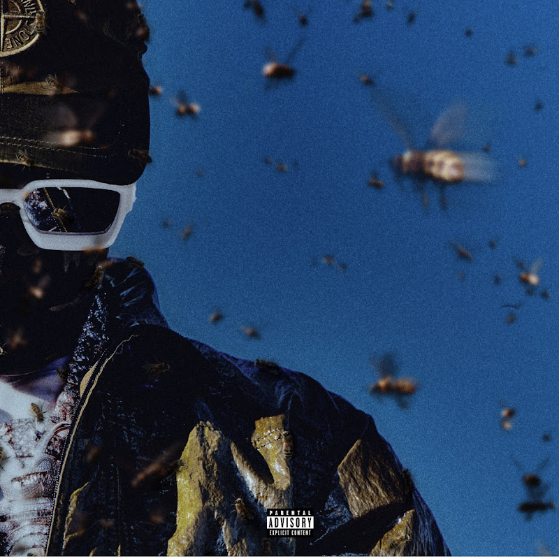 Booter Bee - Topic