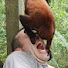 bup8UHEyGSM-channel-avatar-Dr. Adam Norten