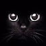 TRxgFSJAjHA-channel-avatar-Tam Horro