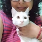 Cat N Kitten Lover