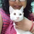 LtTYJsowuVU-channel-avatar-Cat N Kitten Lover