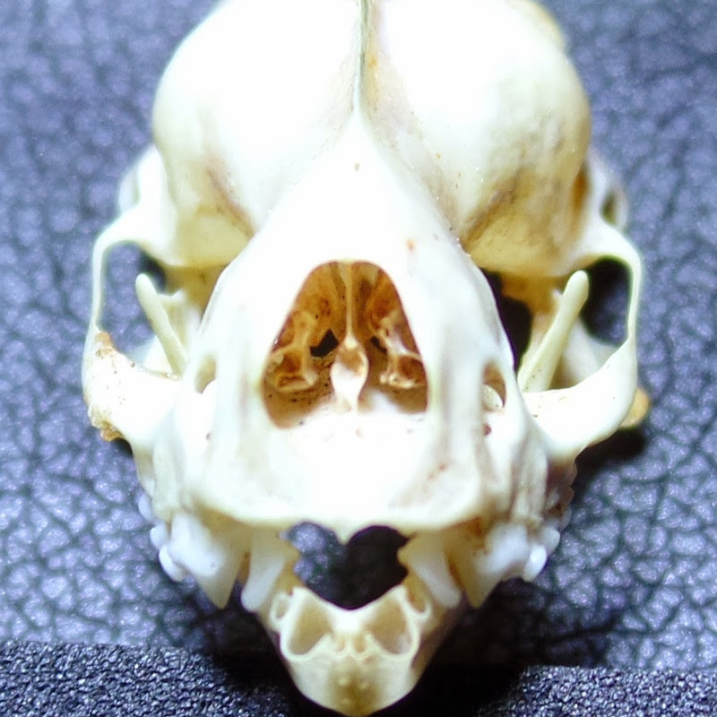 Unrelated Activities