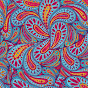 Paramecio_Z