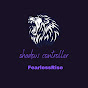 Shadow controller logo