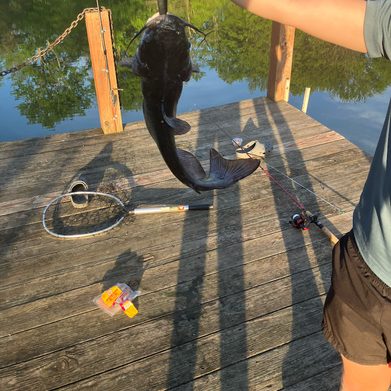 T&A&C fishing.1