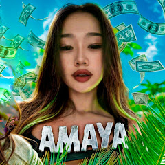 AMAYA #2 net worth