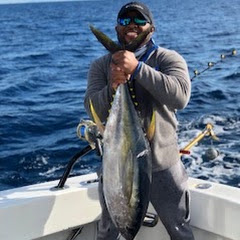 FISH DRIVEN