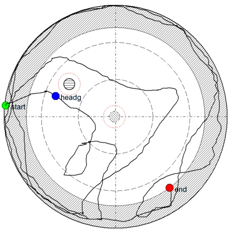 HVS Image