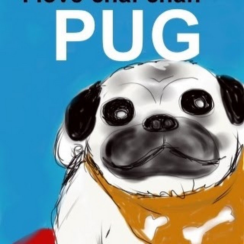 シオンとコタch [パグとチワックス]