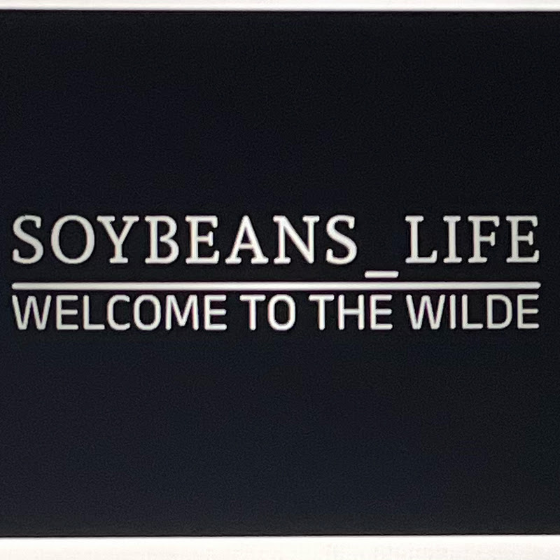 Soybeans_life