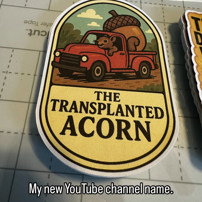 The Transplanted Acorn