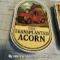 The Transplanted Acorn
