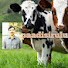 9UsPAf1T3_g-channel-avatar-paadisirulu-agri-lands 🌱🐄